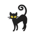 Budz | Black Cat